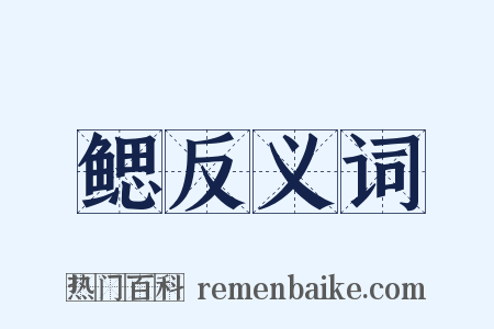 鳃反义词是什么意思的图片